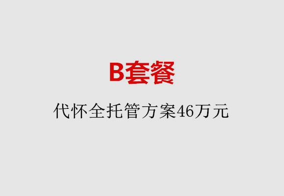 大连B套餐：代怀全托管方案46万元